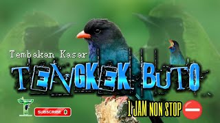 Download lagu Masteran Tengkek Buto Kasar Rapet Cocok Untuk Pancingan Burung Lomba‼️Langsung Auto Ngikut mp3 Download lagu Masteran Tengkek Buto Kasar Rapet Cocok Untuk Pancingan Burung Lomba‼️Langsung Auto Ngikut mp3