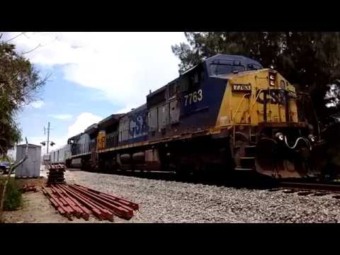 Blue circus train at little manatee river