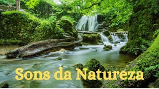 RELAXAR E DORMIR SONS DA NATUREZA