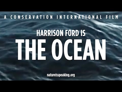 A Natureza Está Falando – Harrison Ford é O Oceano | Conservação Internacional (CI)