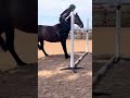 Fails