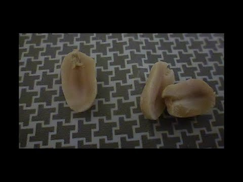 Stanley Brinks - Sweet Fanny Adams