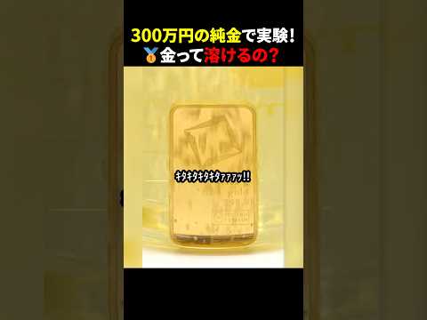 300万円の純金で実験！🥇金って溶けるの？ #ほっこりショート