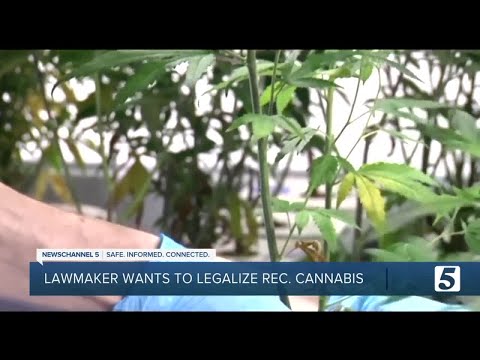 Lawmaker wants to legalize recreational cannabis in Tennessee