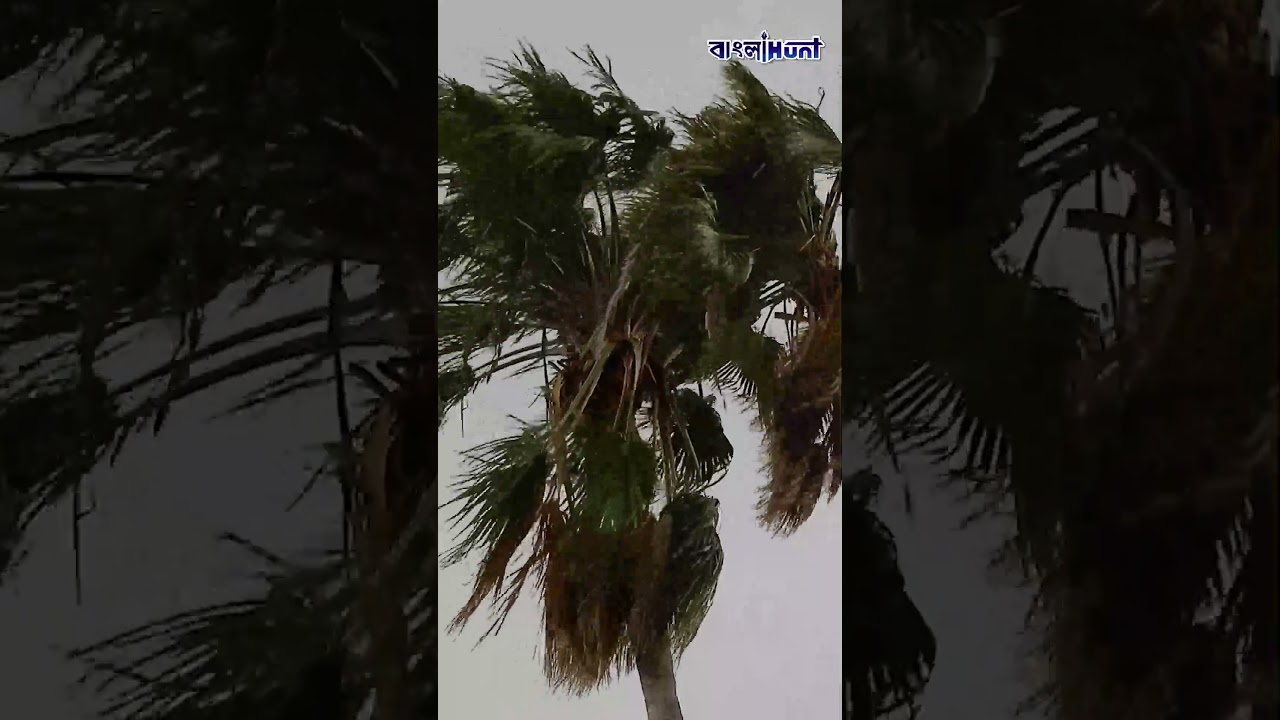 হলুদ সতর্কতা জারি! দক্ষিণবঙ্গের কোন কোন জেলা আজ ভিজবে ঝোড়ো বৃষ্টিতে?