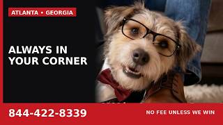 Atlanta Car Accident Lawyer Who's Always in Your Corner | Meet Buddy