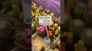 Ankara çiçek serasında vlog
