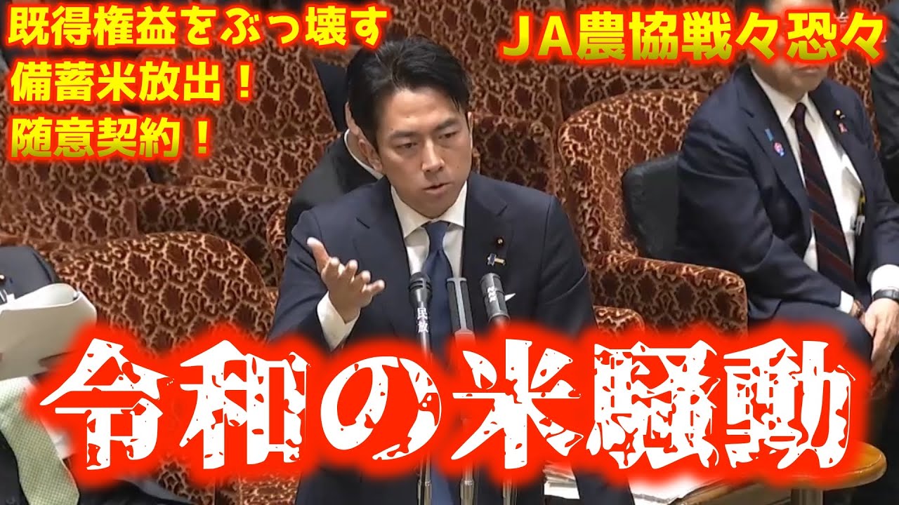 「令和米騒動」再来か――小泉農水相、備蓄米で市場に介入　「2000円の米」は目眩まし？：備蓄米活用策の真価と農政改革の遅れ　#備蓄米 #小泉農林水産大臣
