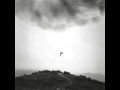 Tommy Guerrero - I would go with you