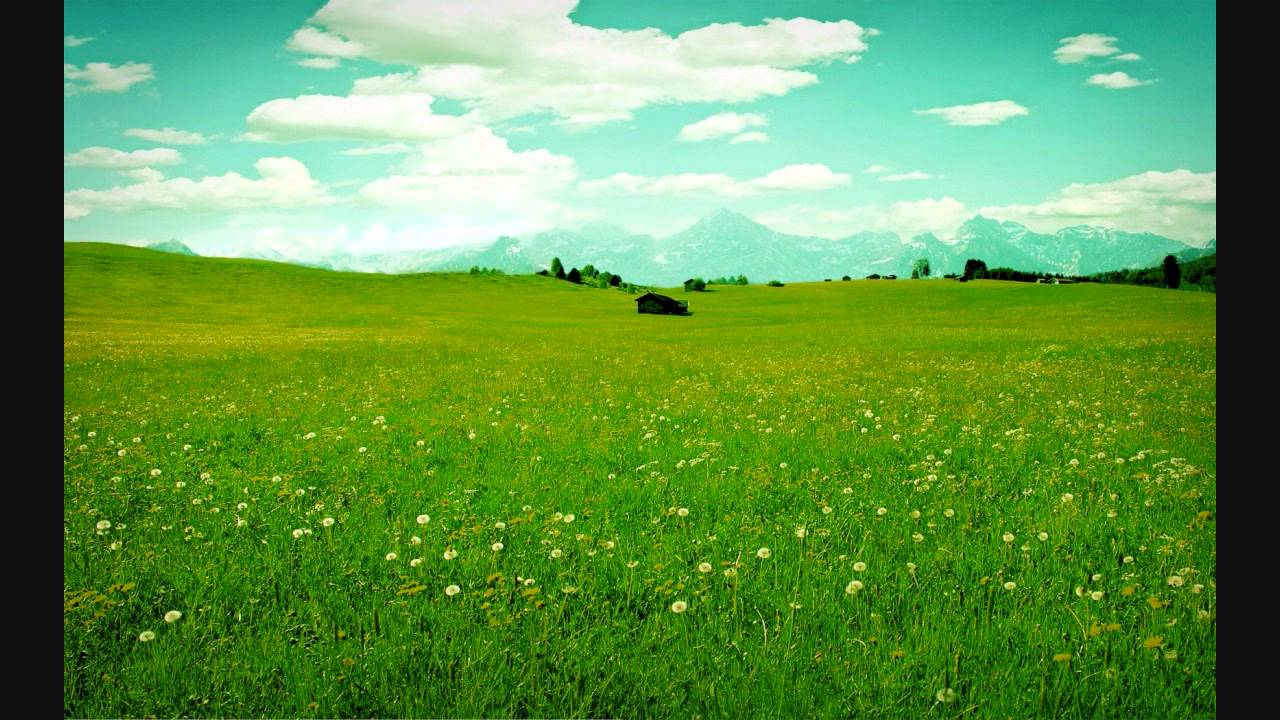 Ho Maro Pichkari Lyrics  | Himmatwala | Mithun Chakraborty, Ayesha Jhulka | Sudesh Bhonsle, Sushma Shrestha (Poornima) | Tabun Sutradhar