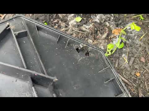 Ants Take Over Exterior Bait Station in Watchung, NJ