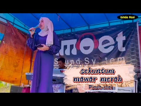 Sekuntum mawar merah ll Dinda Rozi Arr citra doni