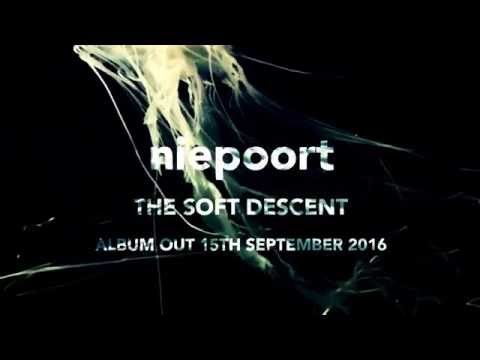 niepoort -  the soft descent album preview