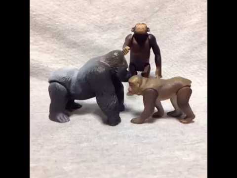 アニアショートムービー1 モンキーずもう