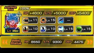 AGL (SSB) SUPER SAIYAN BLUE KAIOKEN GOKU (SSGSS KK) Damage Test! 100% MAXED Dupe System!