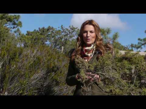 Vídeo Promocional Tróia Eco Resort