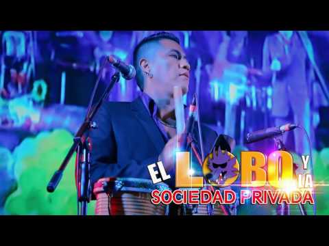 EL LOBO - AJENA ✅ CONCIERTO OFICIAL ANIVERSARIO by D&D [MASTERFOX®]