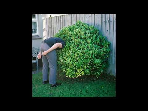 Getdown Services - Dog Dribble (Official Audio)