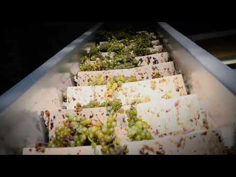 Présentation du domaine