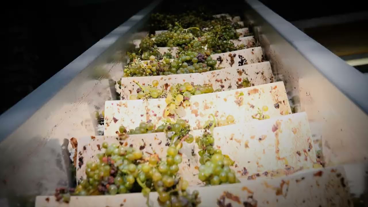 Tour de aperitivos e degustação de vinhos Valaisan no Domaine Jean-René Germanier