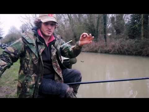 Episode 1 - Perch on the pole