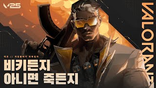 퀘이사존