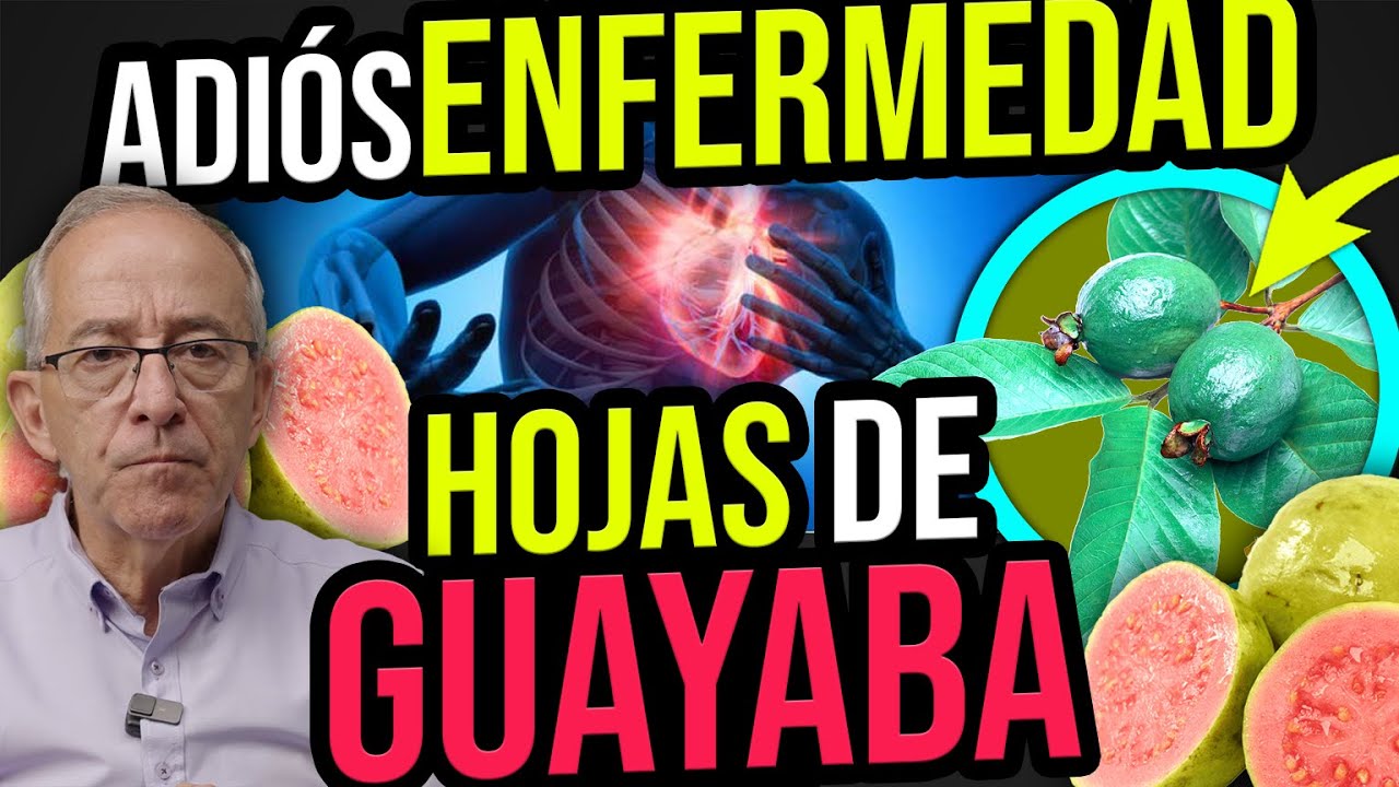 🌿 SECRETS OF GUAVA LEAVES - Oswaldo Restrepo RSC
