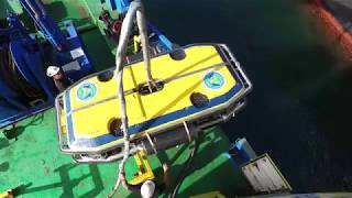 Re: [新聞] 刮除「海蠣子」