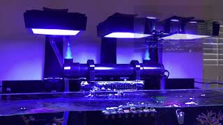 Radion Diffuser Review: Wide angle lens vs. Diffuser