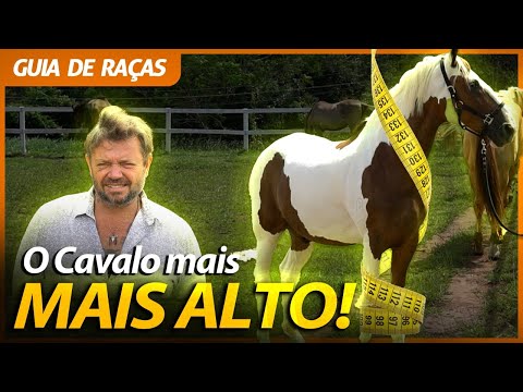, title : 'CAMPOLINA, O CAVALO MAIS ALTO DO BRASIL! | RICHARD RASMUSSEN'