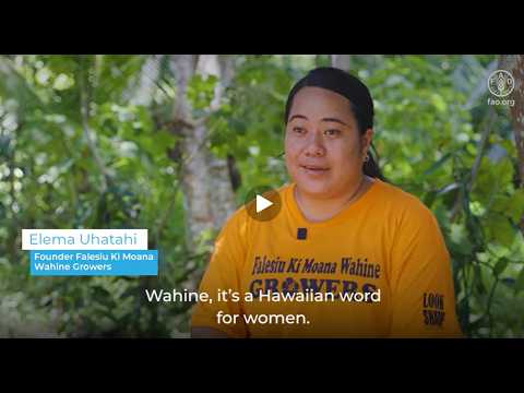 Celebrating Women Farmers. Vanilla Growers in Tonga