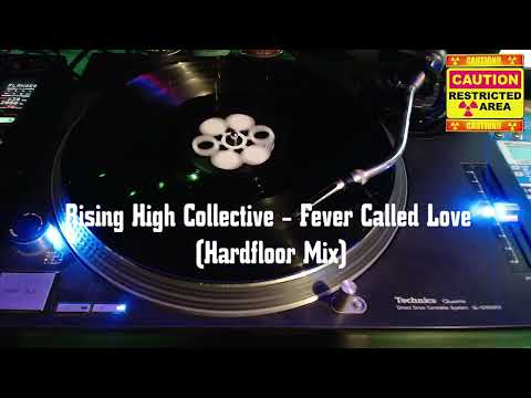 Rising High Collective - Fever Called Love
