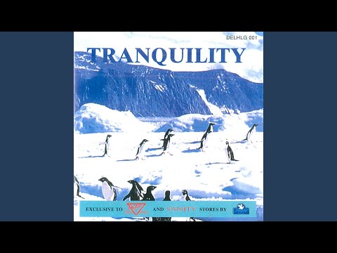 Rocky Mountain Retreat