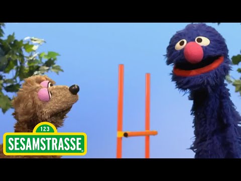 Grobi und der Hund | Sesamstraße | NDR