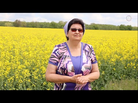 Aurica Murasan - Ce ar trebui ca sa mai fac