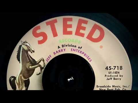 The Illusion -  Falling In Love - 1969 - 45rpm