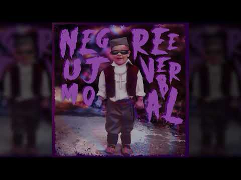 Reeverbal - Negujmo (Lyric Video)
