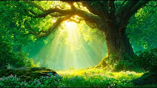 편안한 아침 힐링음악 🎵 3시간 | 자연의 소리와 함께하는 명상 | Peaceful Morning Healing & Relaxing Music