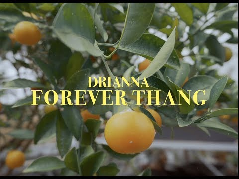 Drianna - Forever Thang (Official Music Video)