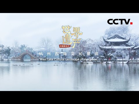 大陸名片