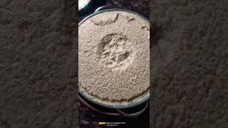Download lagu 👉perfect Ragi dosa batter recipe #youtubeshorts Divyaprasadvlogs 👍 mp3 Download lagu 👉perfect Ragi dosa batter recipe #youtubeshorts Divyaprasadvlogs 👍 mp3