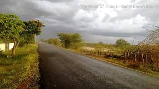 The Order Or Things - Badly Drawn Boy