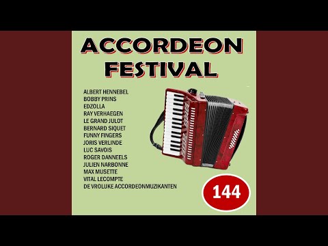 Als ' N Meeuw In De Wind