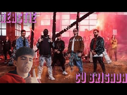 M-a spart piesa asta!\HVNDS x NANE - Cu Brigada\REACTIE