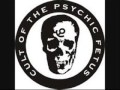 Cult Of The Psychic Fetus - Ghost In The Machine ...