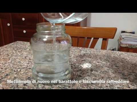 Appendici toraciche negli insetti Antibiotici per giunti tubercolosi