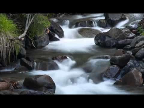 Hold Back the River Nathan H