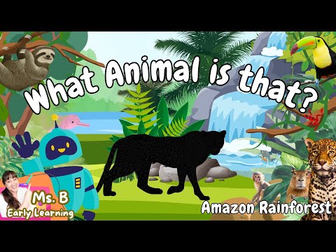 Rainforest Animals for Kids | Learn Animal Names & Sounds | Toddler Learning Compilation