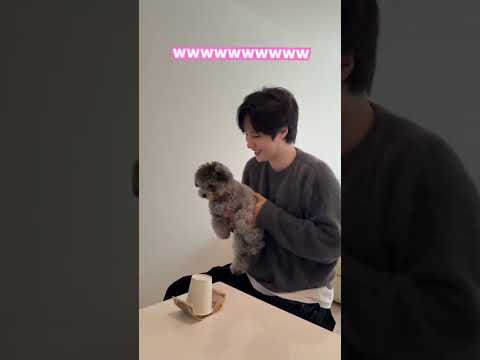 愛犬にお年玉を奪われる韓国人夫www #shorts