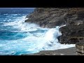 Dubious Distinction Insights On PBS Hawai I